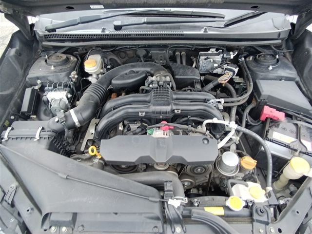 08.jpg