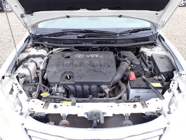 08.jpg