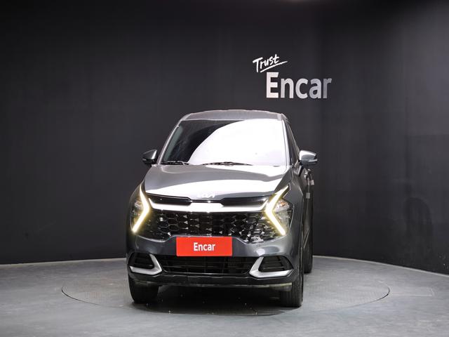 25983182_carP_l_1.jpg