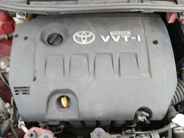 08.jpg