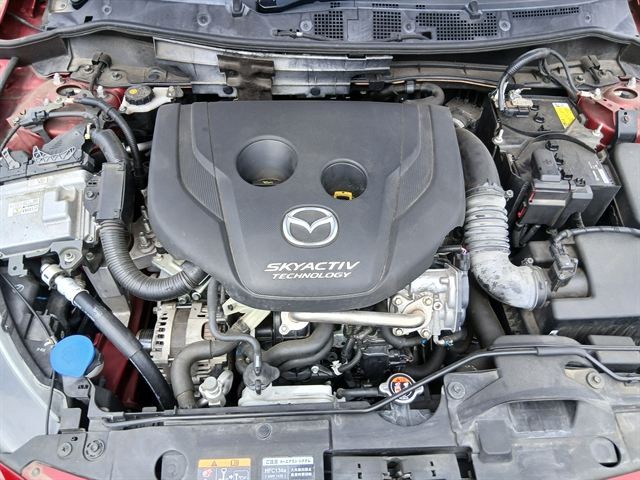 08.jpg