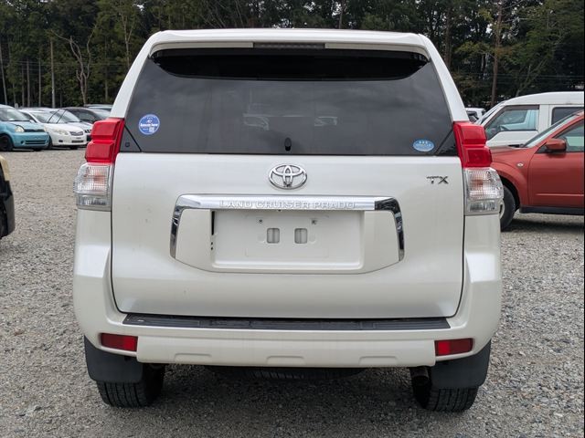 54.jpg