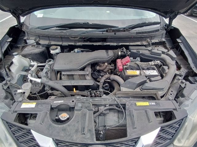 08.jpg