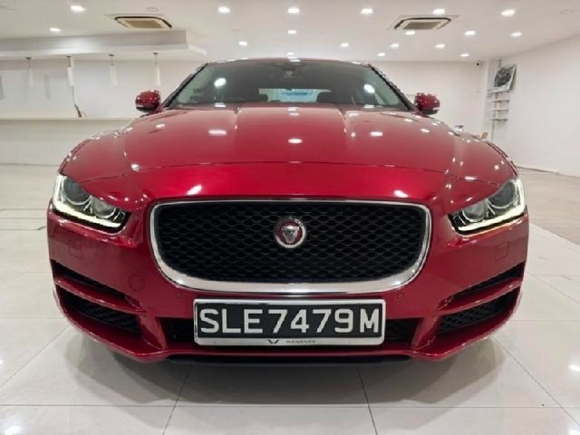 630364f140d5b2d9c7047d266627ccab.jpeg