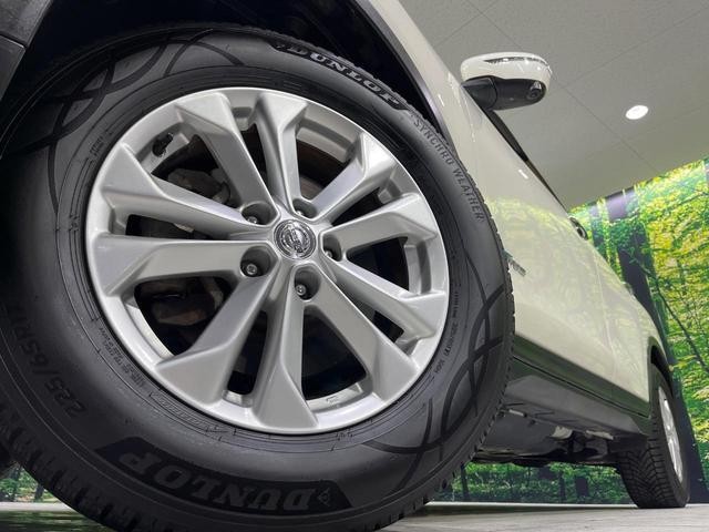 26043747_carP_l_8.jpg