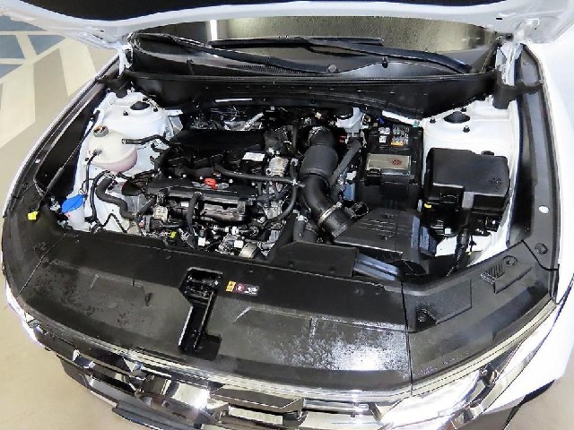 ecae87f38878272fd455a57e256813a5.jpeg