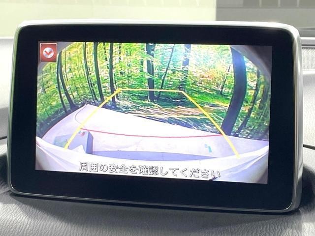 26043928_carP_l_10.jpg