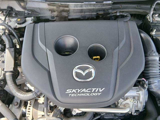 08.jpg