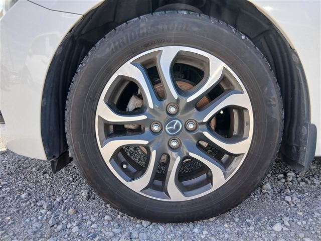 19.jpg