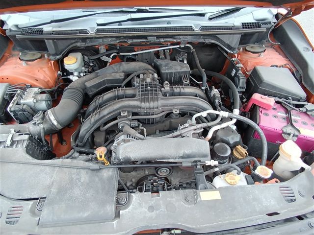 08.jpg