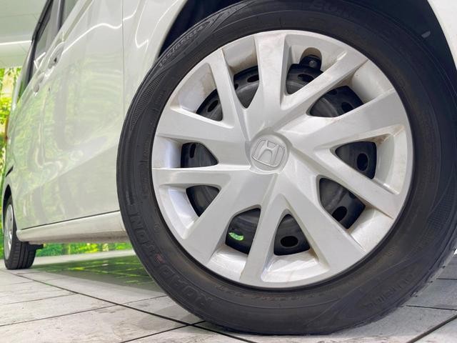 26063873_carP_l_7.jpg