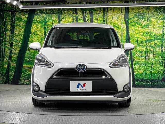 26063919_carP_l_9.jpg