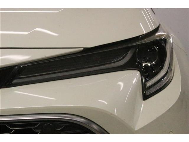 f125bf71ab13aa1c4269c4e090a92648.jpg