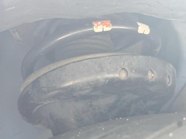 26084286_carP_l_20.jpg