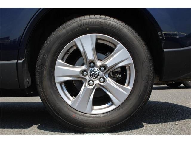 f31890fdbf66a134281647e675bf66fd.jpg