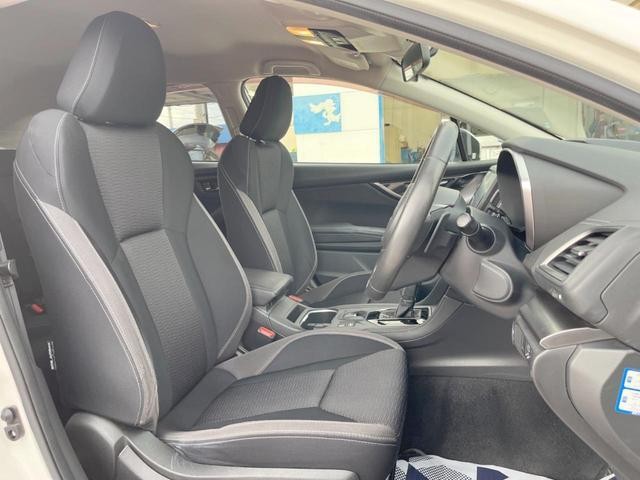 26084287_carP_l_17.jpg