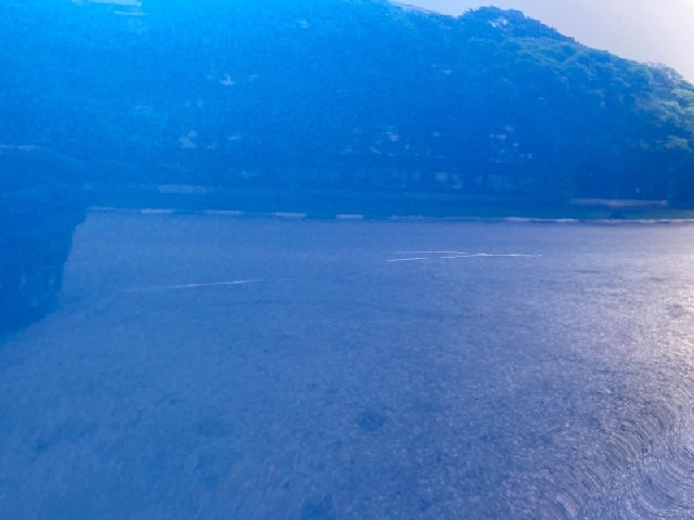 053bbc26d1363f2004c1470d09f3ae90.jpeg