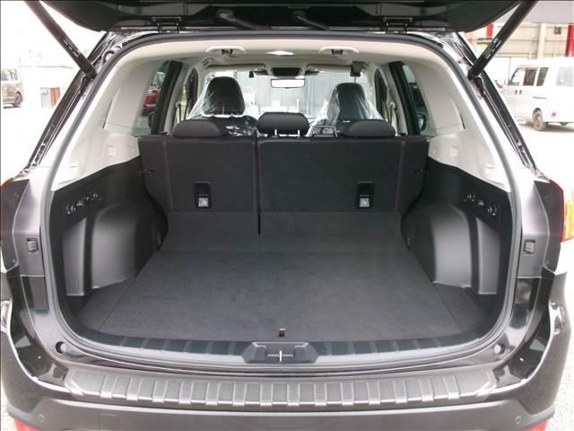 22092879_carP_l_5.jpg