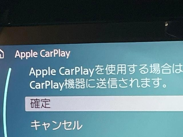 26084333_carP_l_12.jpg