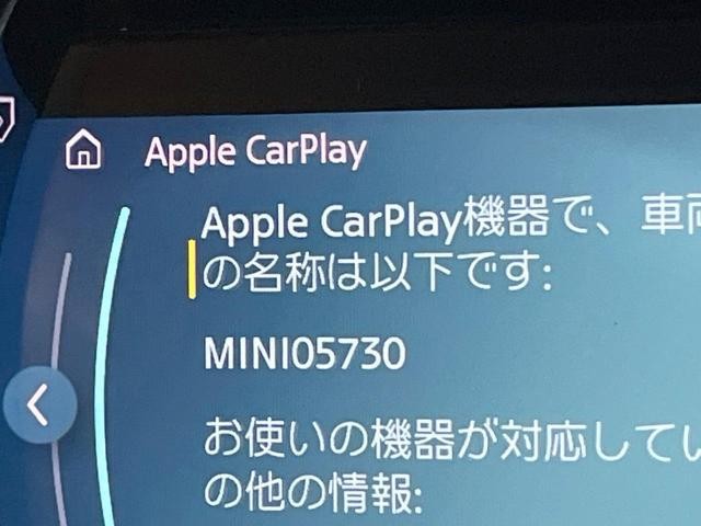 26084333_carP_l_16.jpg