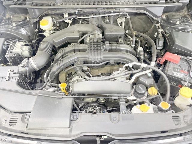 7e1cdc81e830d1ebad4482f0e2c316a7.jpg