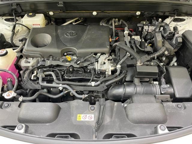 26084507_carP_l_16.jpg