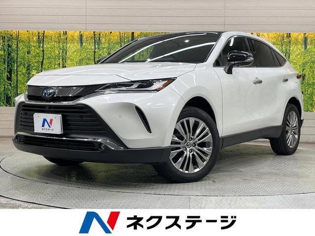 26084507_carP_l_1.jpg