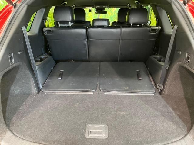 26084645_carP_l_5.jpg