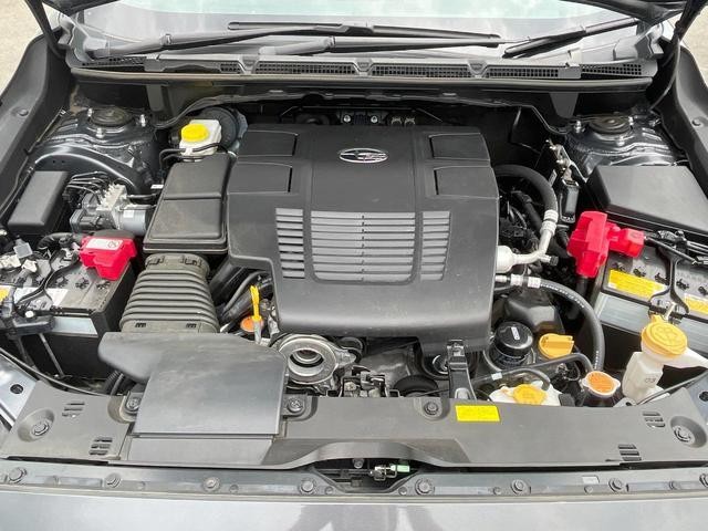 26084702_carP_l_20.jpg