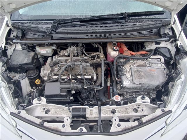 08.jpg