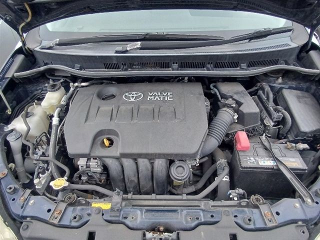 08.jpg