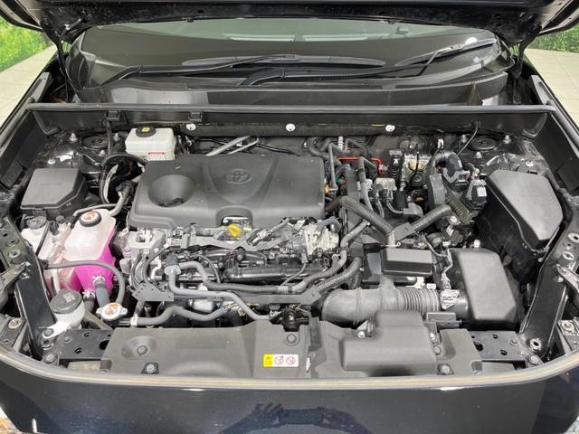 26084804_carP_l_16.jpg