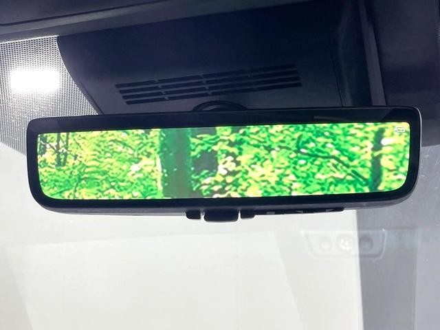 26085060_carP_l_17.jpg