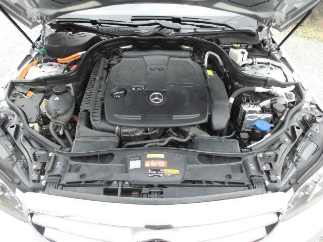26085175_carP_l_19.jpg
