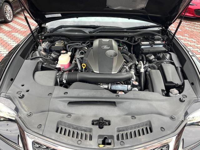 26105447_carP_l_16.jpg