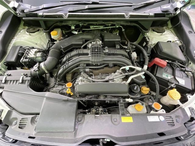 d5619318da687c126c08b61c26433c39.jpg