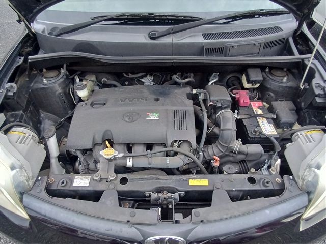 08.jpg