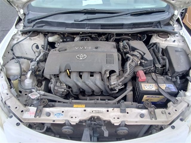 08.jpg