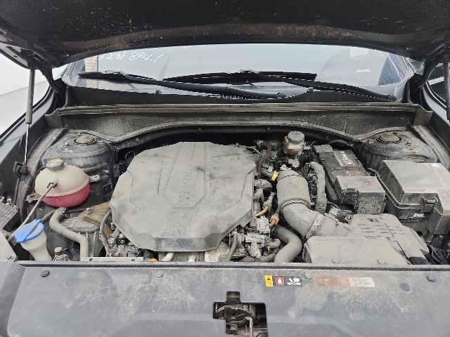 lotterental_173109771_DYocq_1.jpg