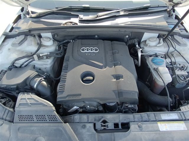 08.jpg