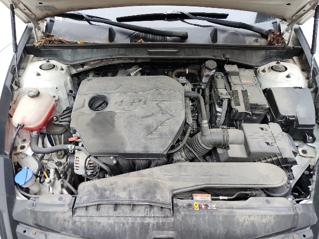 lotterental_170928352_lkb8a_8.jpg