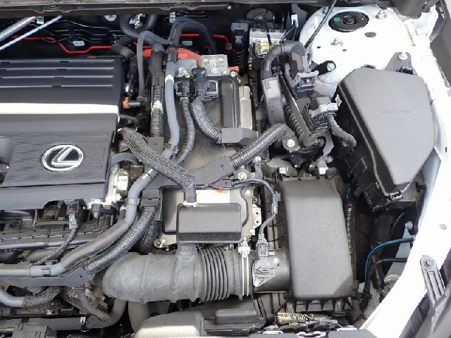 14115cdd64d932266359f72fd8cc0388.jpeg