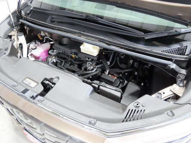 26120889_carP_l_17.jpg