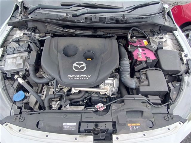 08.jpg