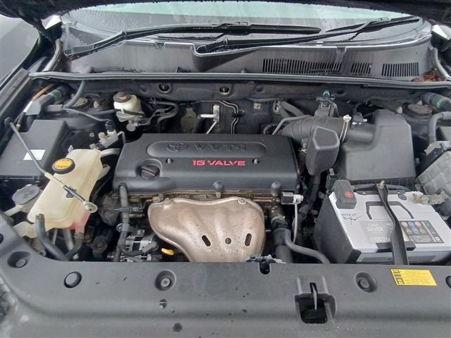 08.jpg
