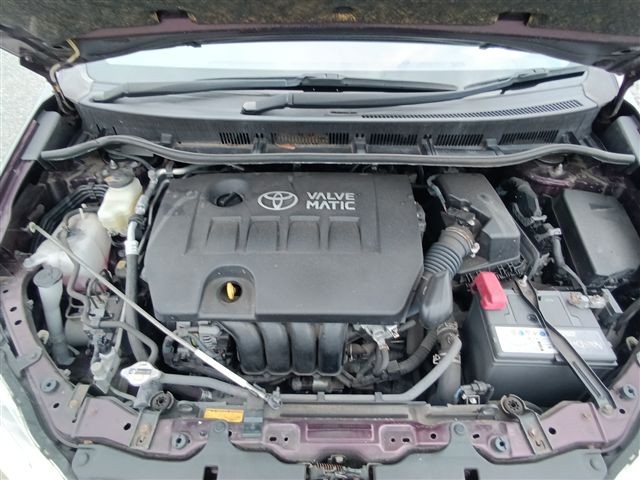 08.jpg