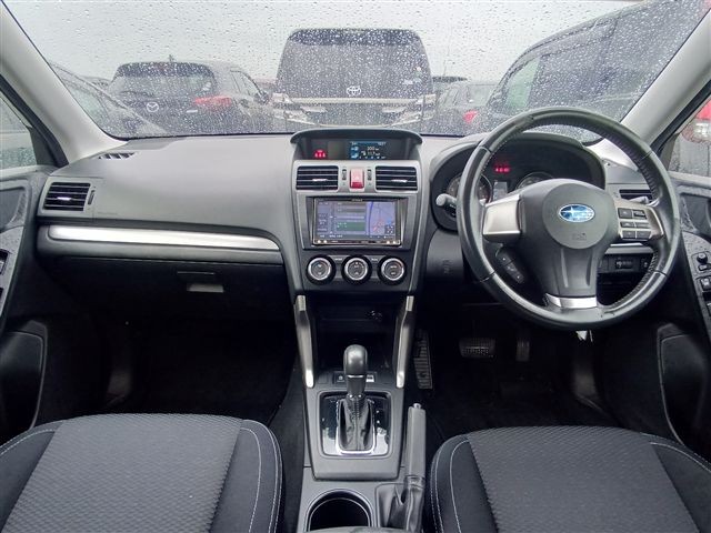 06.jpg