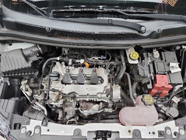 lotterental_162357221_jSIjV_7.jpg