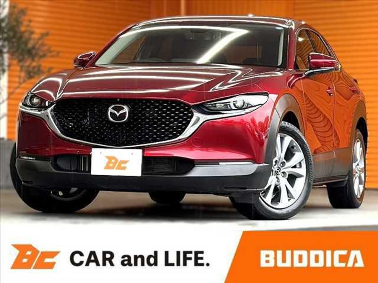 2023 Mazda Cx-30, photo 1 of 1