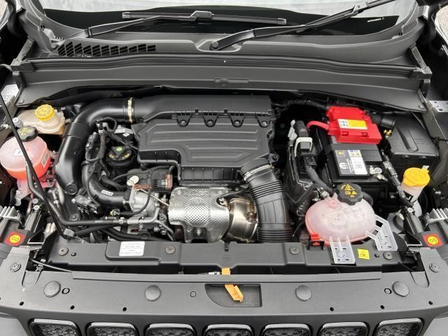 26127211_carP_l_19.jpg